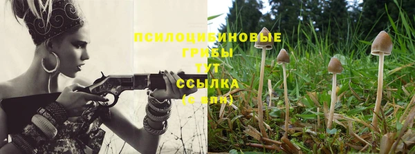 кристаллы Бородино