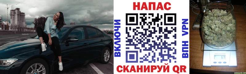 Конопля план  Волгореченск 
